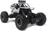 RC Car Off-Road Rock Crawler Truck Vehicle RC Truck High Speed Remote Control Car [PD]