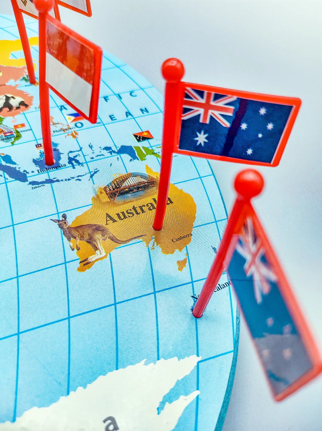 Educational Wooden World Map National Flags [PD][1Pc]